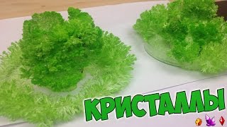 КАК ВЫРАСТИТЬ КРАСИВЫЕ КРИСТАЛЛЫ