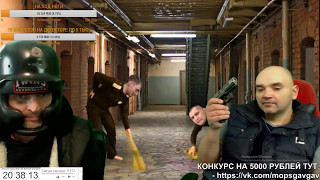 Выстрел в голову мопса с травмата через немецкую каску