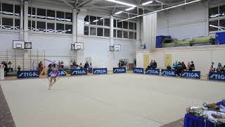 Художественная гимнастика Краснодар - чемпионат 16 27.01.2018
