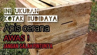 Membuat Kotak Budidaya Konvensional, Berapa Ukurannya?