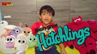 Membuka Mainan Squishy dan Lucu Angry Birds Hatchlings