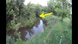 ЛОВЛЯ КРУПНОЙ ПЛОТВЫ НА ТИХОЙ ЗАРОСШЕЙ РЕКЕ!!!