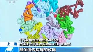 重大突破！我国科学家成功创建世界首例人工单染色体真核细胞
