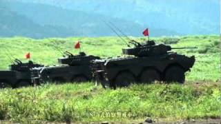 Japan Self Defense Force(JSDF)