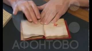 23 года исполняется Конституции РФ