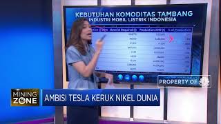 Ambisi Tesla Keruk Nikel Dunia