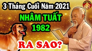 Tử Vi 3 Tháng Cuối Năm Nhâm Tuất 1982 May Mắn Liên Tiếp Đổi Vận CỰC GIÀU