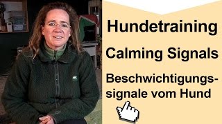 Calming signals - Beschwichtigungssignale vom Hund - Steffi`s Meinung dazu