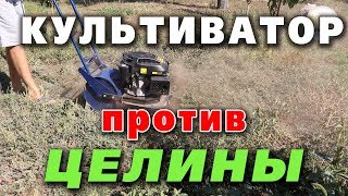Лоплош культиватор против целины! Реальный отзыв
