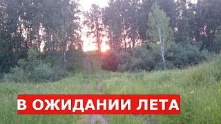 сибирское пчеловодство Лучшие моменты пчеловодного сезона 2016-17 слайд-шоу