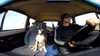 ПОДВОДНАЯ ОХОТА !КАК НАЙТИ СКАТА РАЗДЕЛАТЬ И ПРИГОТОВИТЬ ЕГО!