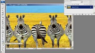 Основы Photoshop. Растровая и векторная графика