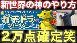ガチャドラ2万点ほぼ確定で取れる新世界の神のやり方を解説 ランキングダンジョン【パズドラ】【パズドラ実況】