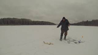 Зимняя рыбалка в Конаково  сезон 2018\2019