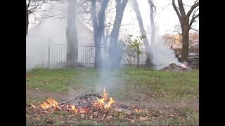 Спалюєш листя – плати штраф!