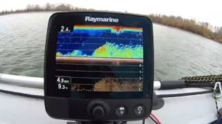 Эхолот Raymarine Dragonfly 6. Изображение рыбы