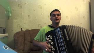 красивая игра на баяне 987