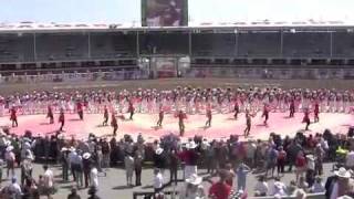 Stampede Band Rodeo Stage Performance