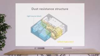 Dust resistance structure