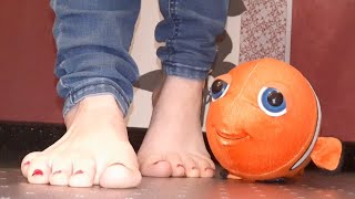 235 - liebevolles TRAMPLING für meinen Clown- ähhhh Plattfisch Nemo ?