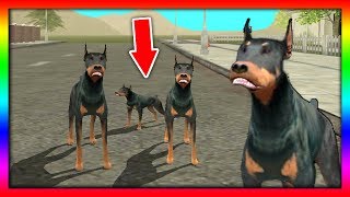 СИМУЛЯТОР СОБАКА #8 САМЫЙ СИЛЬНЫЙ ПЕСИК приключение ЩЕНКА детский летсплей от ДЕТСКИЕ ИГРЫ