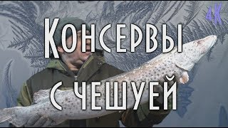 ? АВТОКЛАВ, ДОМАШНИЕ КОНСЕРВЫ ИЗ РЫБЫ С ЧЕШУЕЙ 4К ?