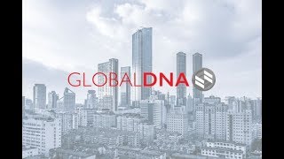 GlobalDNA Simulation   International Business Strategy