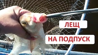Ловля леща с лодки на подпуск.