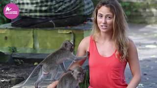 Alison Teal Molested by a Monkey