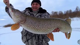 ОГРОМНЫЕ ЩУКИ на жерлицы. река Белая.рыбалка в Башкирии.