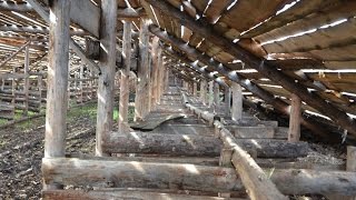 Бревно - отбойник, чтобы навоз КРС не попадал на подстилку. Фермерское хозяйство Виктора Катанаева