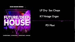 Future/Deep House by EchoSoundWorks