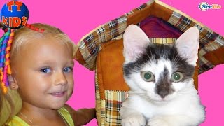 Котенок Барсик - новый питомец Ярославы! Ярослава покупает Домик для Котенка. Видео для детей