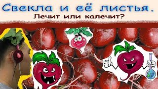 Свекла и ее листья. Лечит или калечит?