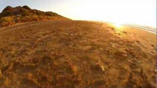 FPV - golden