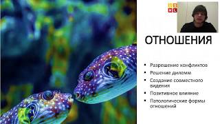 Вебинар "Почему современному человеку нужно знать НЛП?"