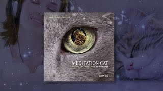 Beste Entspannung und Einschlafmusik FÜR MENSCH & KATZE (mit orig. Katzenschnurren / Naturklang)
