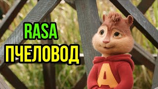 Элвин и Бурундуки поют Пчеловод (RASA)