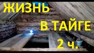 Жизнь в тайге видео/ Между строительством избушки-2