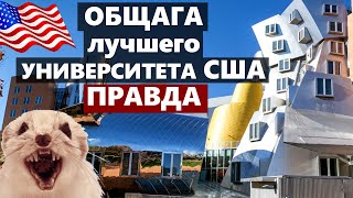 УЖАСЫ ОБЩАГИ Американского Университета MIT - ОБЗОР / И это лучший университет МИРА по рейтингу QS