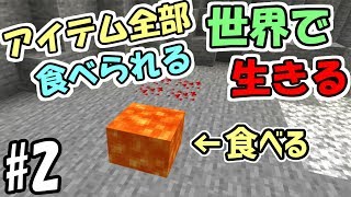 【マインクラフト】#2 全てのアイテムが食べられる世界で生きる　～マグマを食べる～【マイクラ実況】
