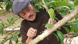 Giang Còi: Cuộc sống dân giã khó tin của gia đình nghệ sĩ hài Giang Còi