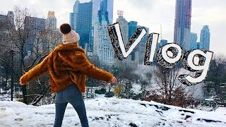 Прогулка по ЦЕНТРАЛЬНОМУ ПАРКУ. Рождественский Нью-Йорк #NYCVLOG