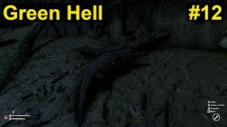 Green Hell - Zusammentreffen mit einem Krokodil #12 - Deutsch/German