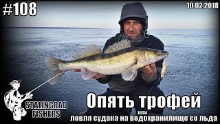 Опять трофей или ловля судака на водохранилище со льда - 10.02.2018
