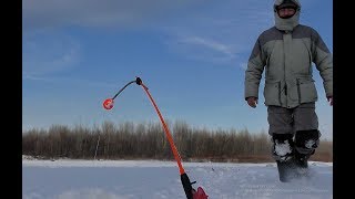 ВСЕ КОМБАЙНЫ ЗАГНУЛО!!!КРУПНЫЙ ОКУНЬ,ЩУКА И ПЛОТВА В ПРИЛОВЕ.Рыбалка на балансир и безмотылку.