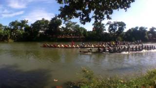 Không khí bơi đua thuyền truyền thống trên sông Kiến Giang 2015