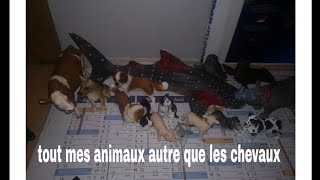 Présentation de mes animaux autre /storm schleich/