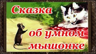 ✅  СКАЗКА ОБ УМНОМ МЫШОНКЕ. Сказки на ночь. Аудиосказки для детей с живыми картинками