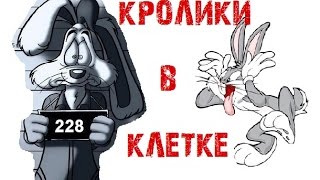 КРОЛИКОВОДСТВО \Кролики в клетке